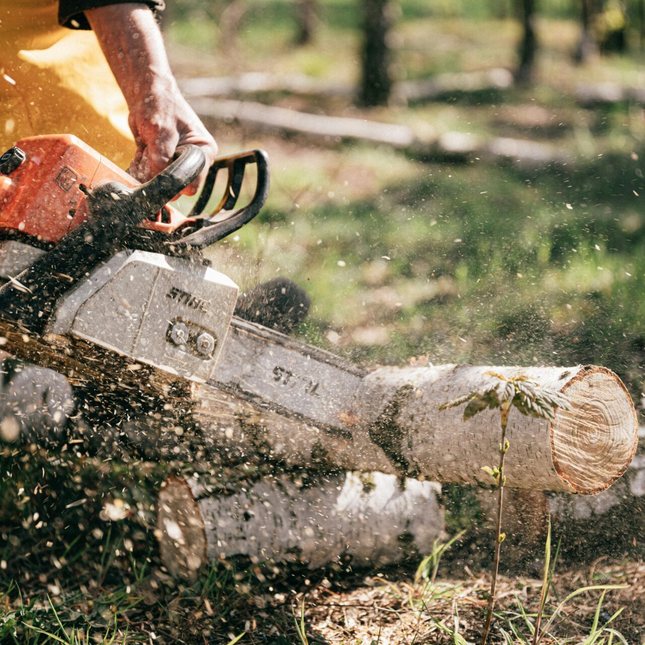 tree cutting crestview fl