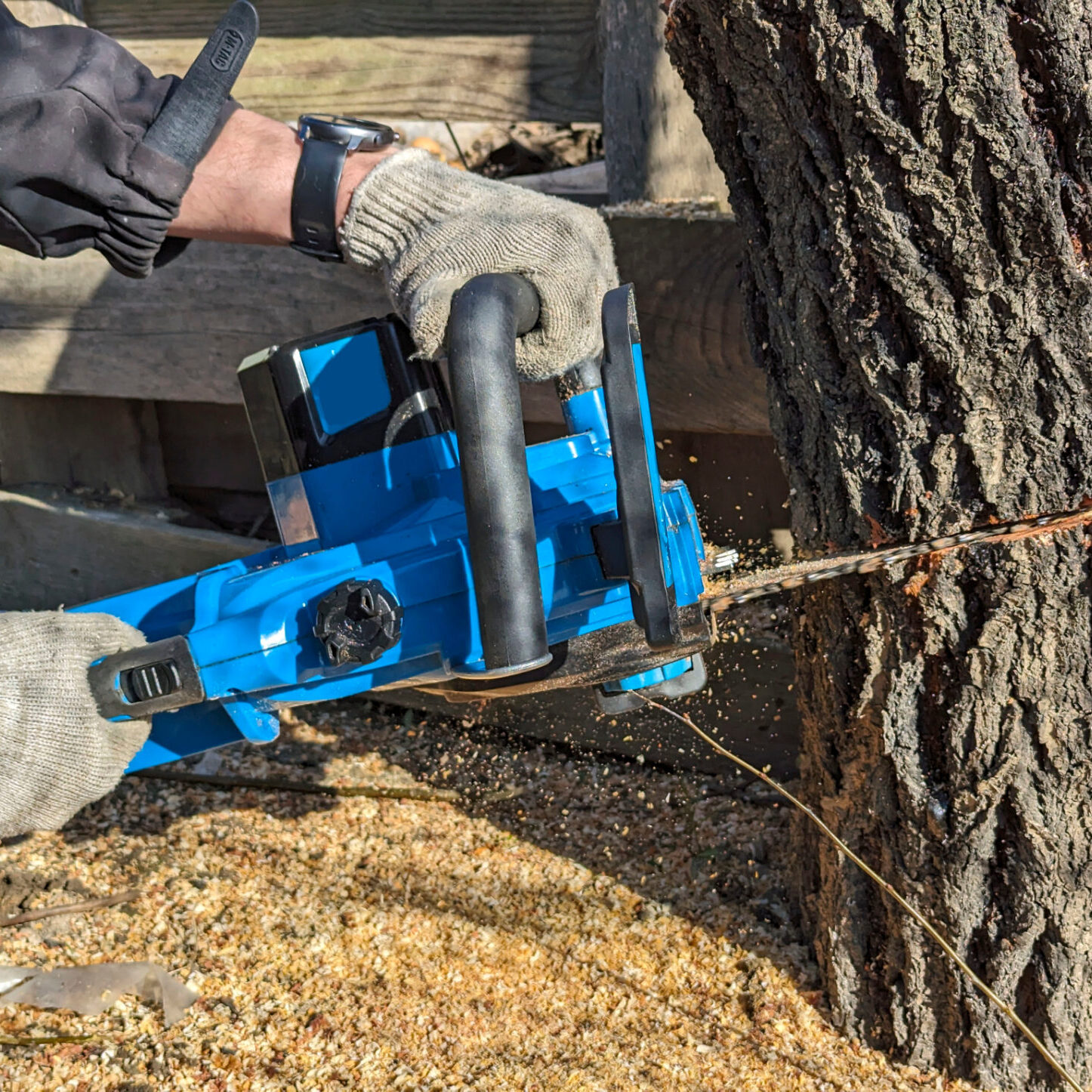 tree removal crestview fl